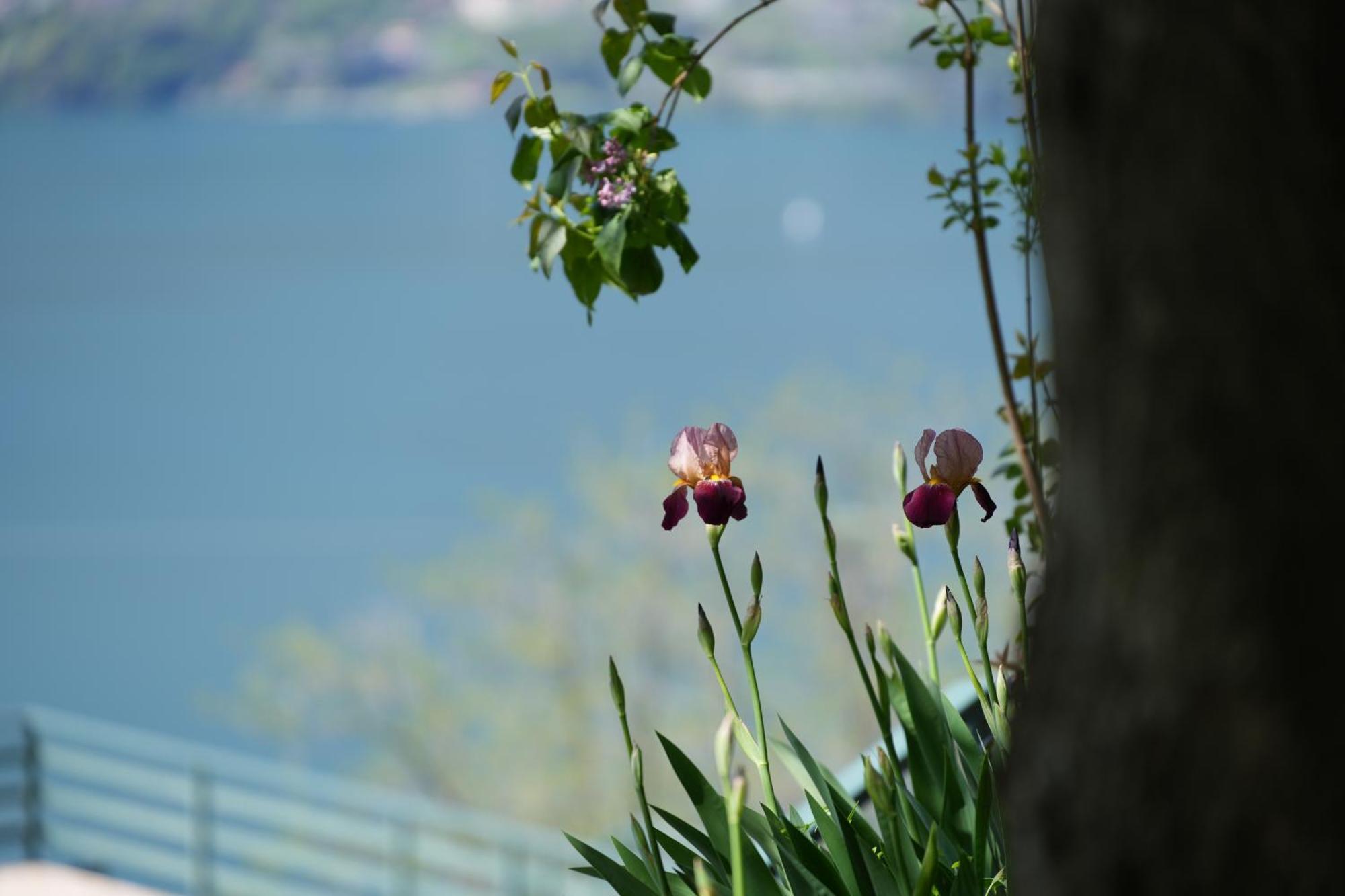 Welcomely - Casa Porta Di Cielo Apartment Dervio Exterior photo