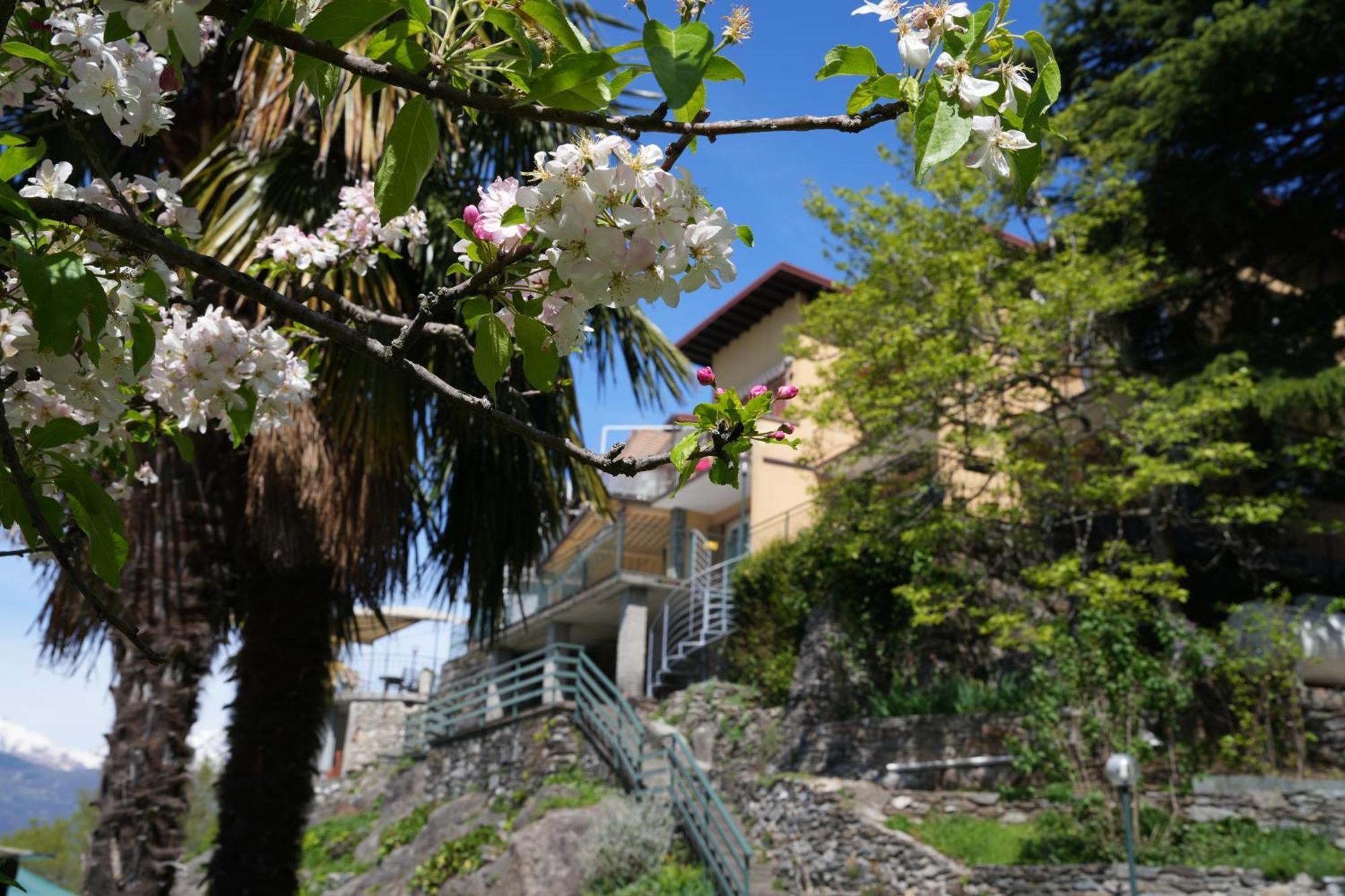 Welcomely - Casa Porta Di Cielo Apartment Dervio Exterior photo
